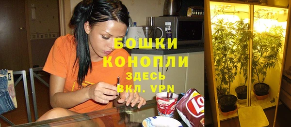 ALPHA-PVP Нефтегорск