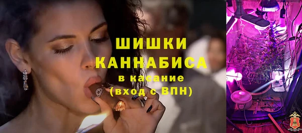 индика Нефтекумск